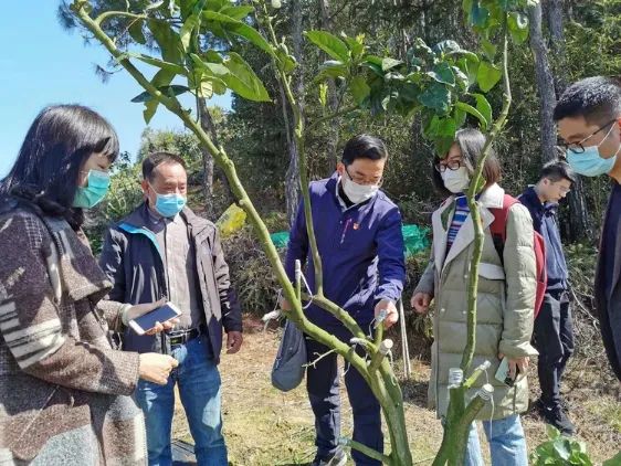 【支援队在基层】福建检察：在疫情防控和服务复工复产中勇于担当（最新发布）