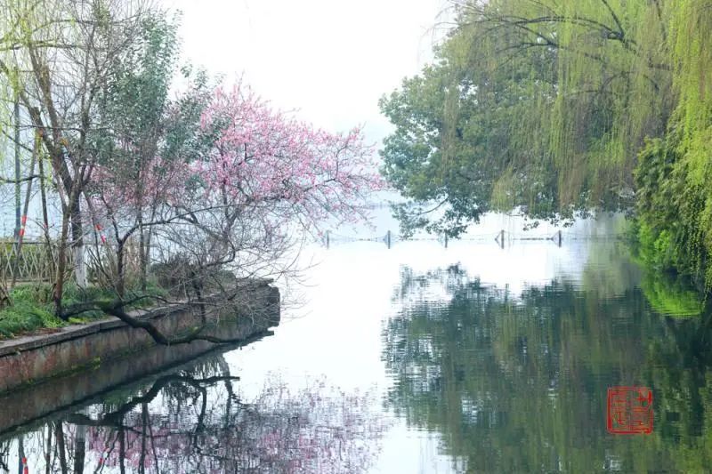 影像| 田益平:西湖的春天