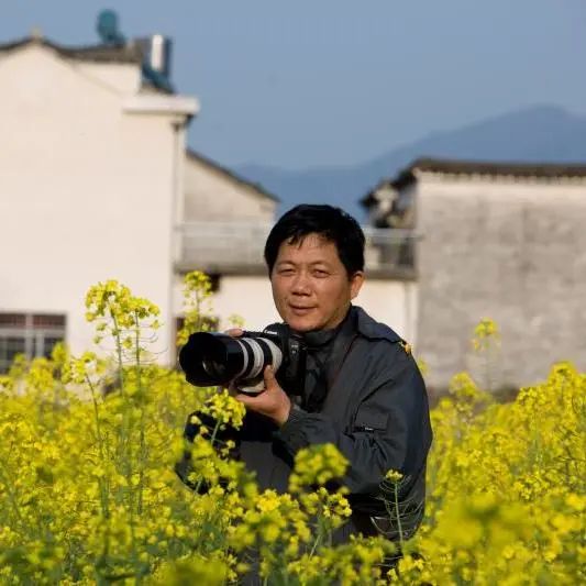 影像田益平西湖的春天