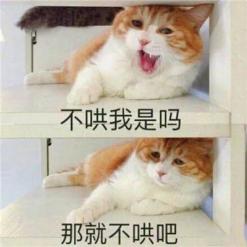 一分钟内,我要知道青海的所有资料(最新发布)