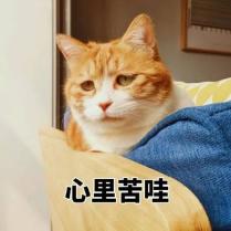 一分钟内,我要知道青海的所有资料(最新发布)