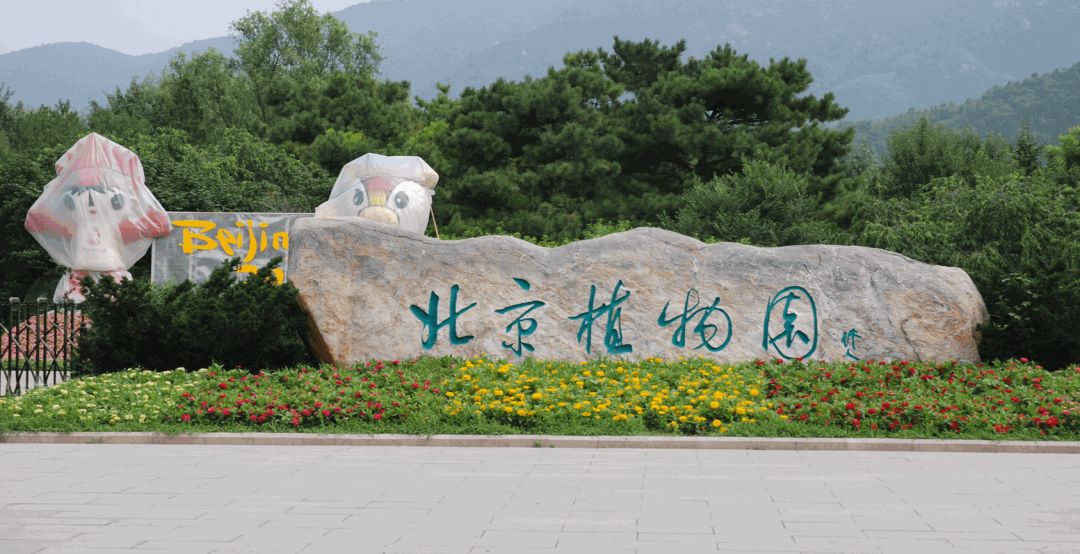北京植物园静园时间:19:00园中园开放时间:9:00—16:00大门开放时间