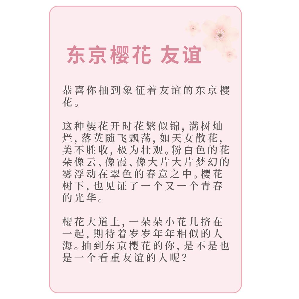 想象,这样一个樱花季