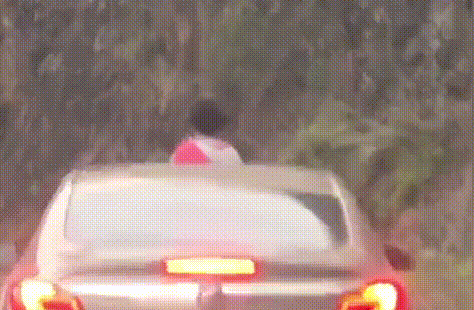 【预警提示】愚蠢的家长才这么做,危险!