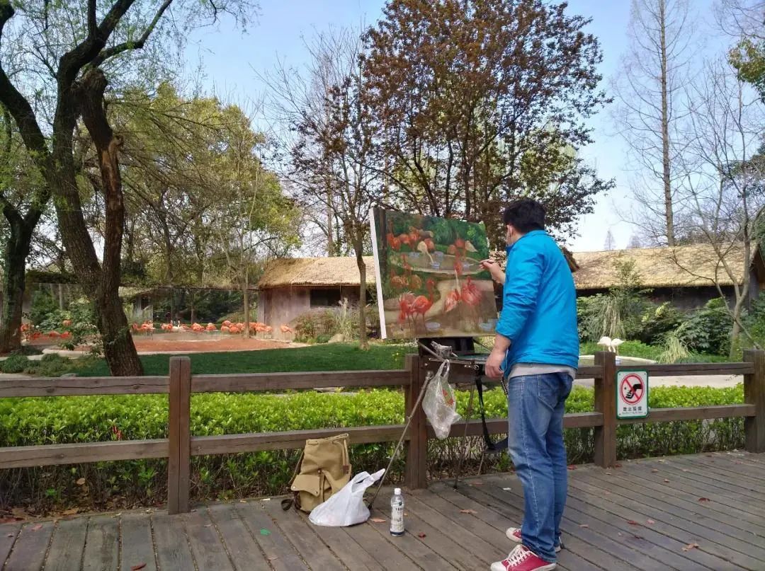 没想到这个地方不仅有动物还有这么美的景色