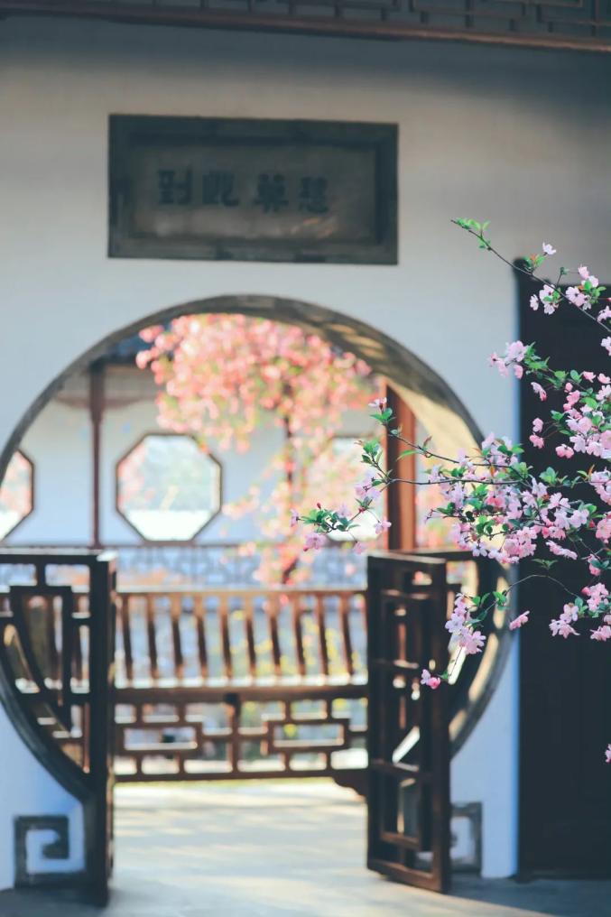 一波高清美景大图,来回顾莫愁海棠花会的