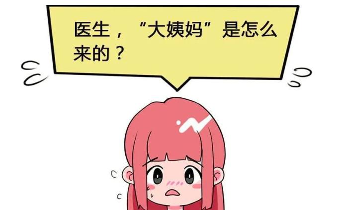 科普漫画   大姨妈从哪里来?