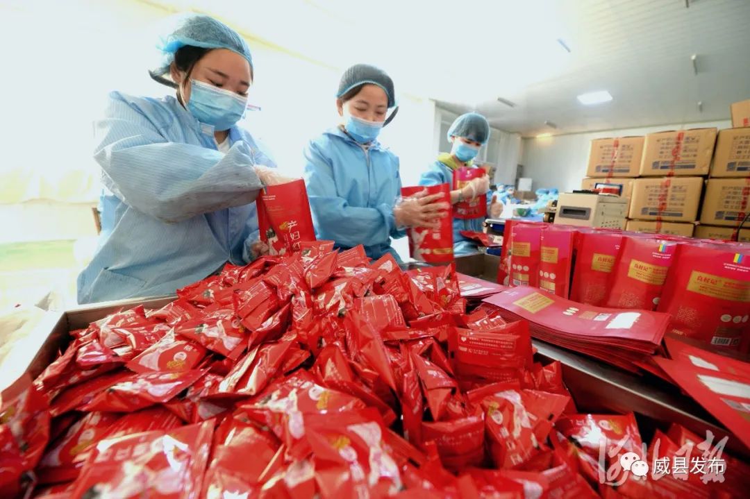 日前,位于威县高新区的河北循道食品科技有限公司工人在生产车间加工