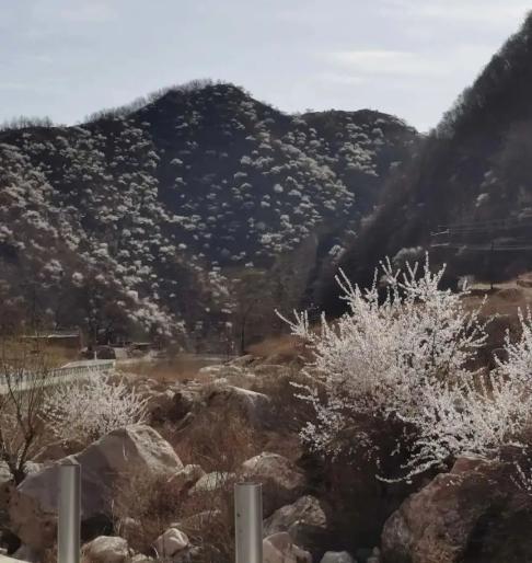 满满正能量踏雪而行刘俊星督导检查高速沿线引线道路两侧环境卫生