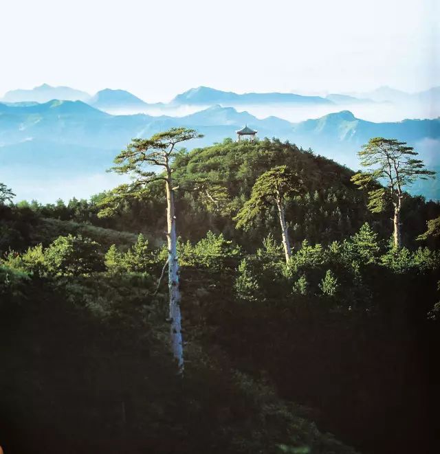 画廊亭倚山岩,楼耀金碧,水木清华从西堤透过练桥望十七孔桥颐和园万寿