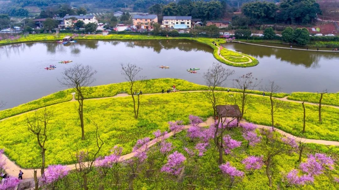 《乡村旅游助力脱贫攻坚 摄于巴南区二圣镇天坪村 杨军 摄