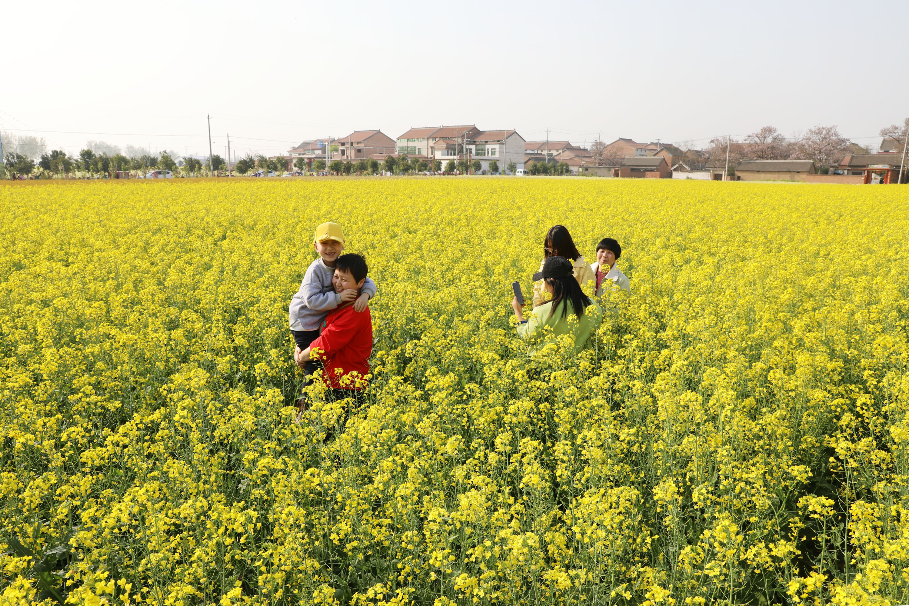 4月4日,游客在河南省焦作市温县岳村街道吕村油菜花海踏青赏花.