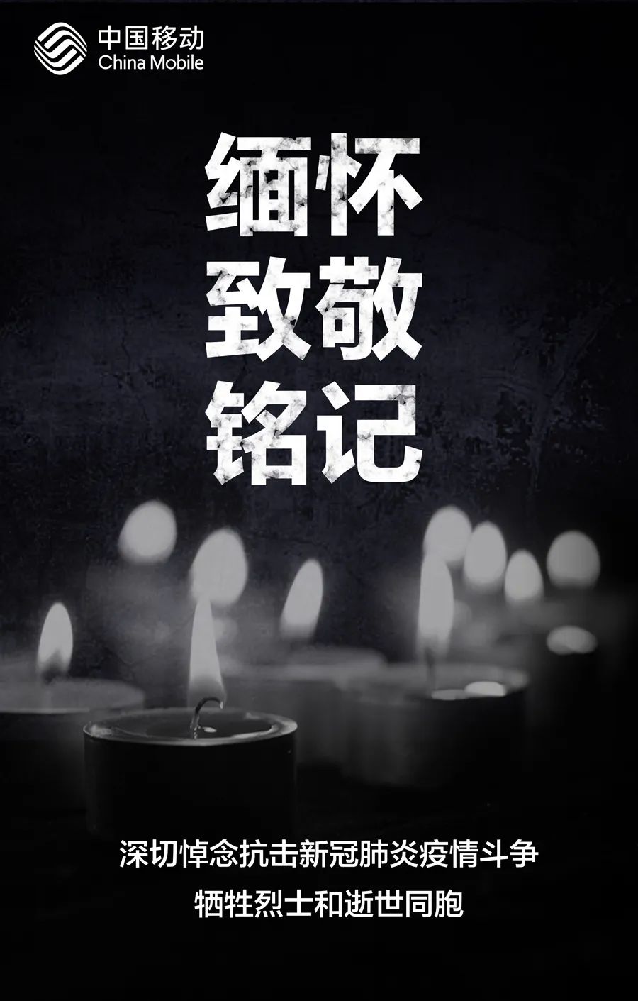 缅怀 致敬 铭记