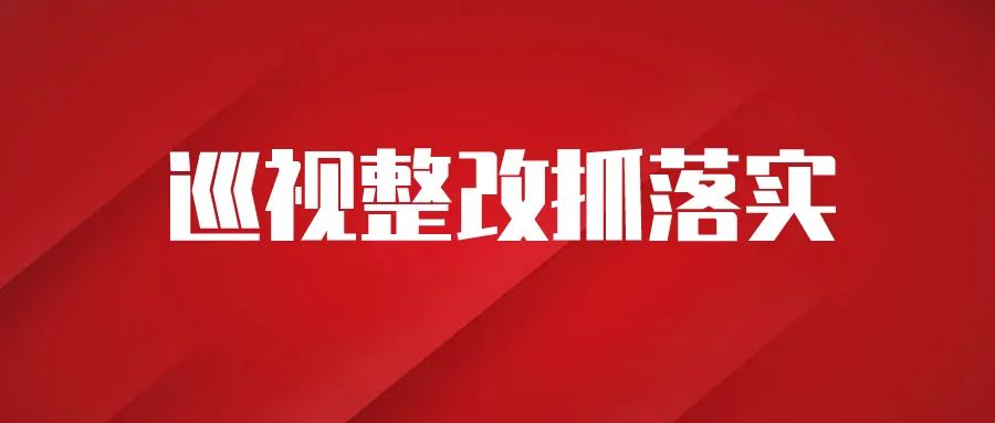 巡视整改抓落实青云谱区扎实有效推进理论学习