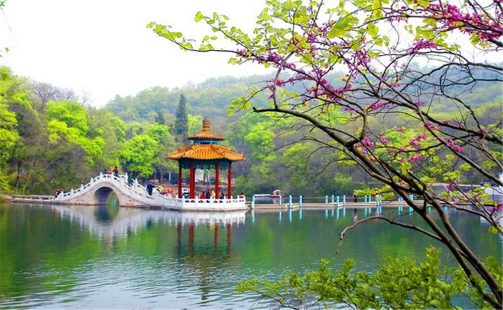 今年清明,滁州市天气晴好,春光宜人,但受疫情影响,全市游客人数和旅游