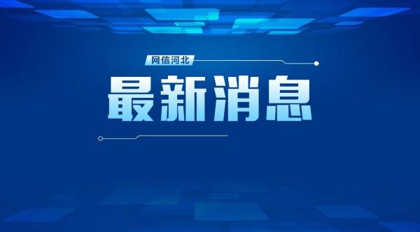 最新公布保定2人被查处