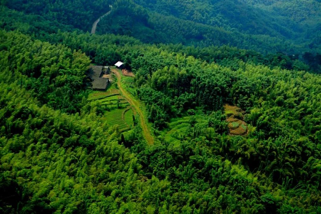 蜀南竹海是川南有名的景点,夏天避暑的好去处,这个时节的风景如何