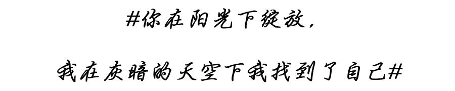 伍迪艾伦的城市情书(最新发布)