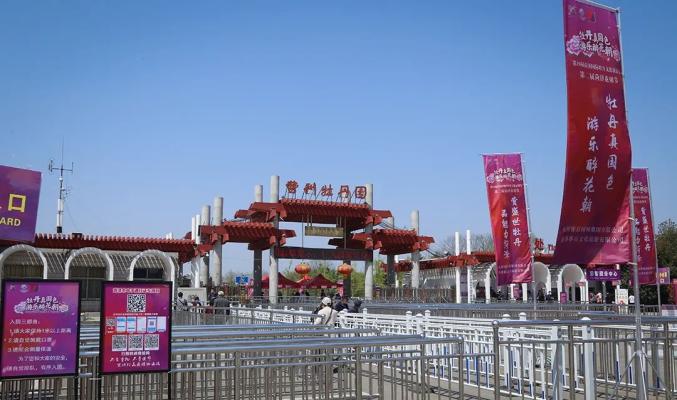 随着气温逐渐的升高,曹州牡丹园内早期牡丹品种
