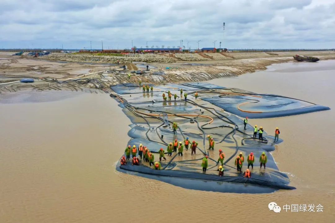 世界自然遗产江苏条子泥湿地滩涂断面塌陷