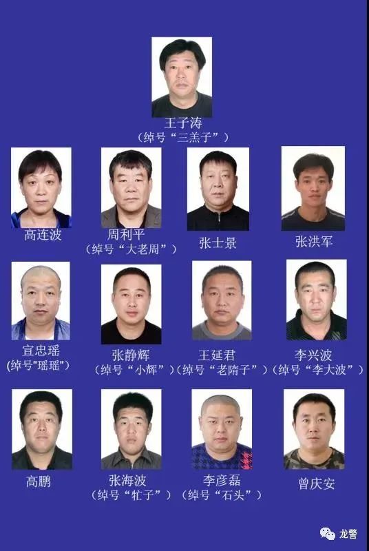 【扫黑除恶】哈尔滨警方公开征集以王子涛为首的黑恶势力犯罪团伙违法