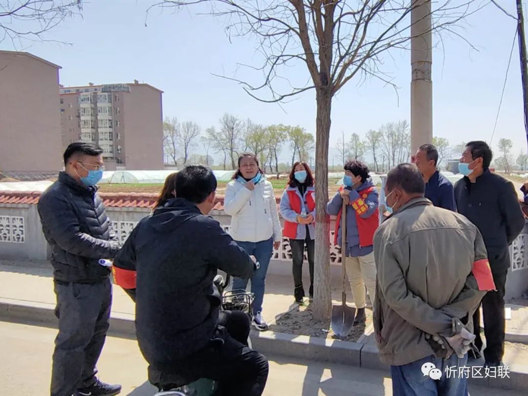 平安清明巾帼行动〡忻府区广大妇女党员干部积极参与护林防火工作