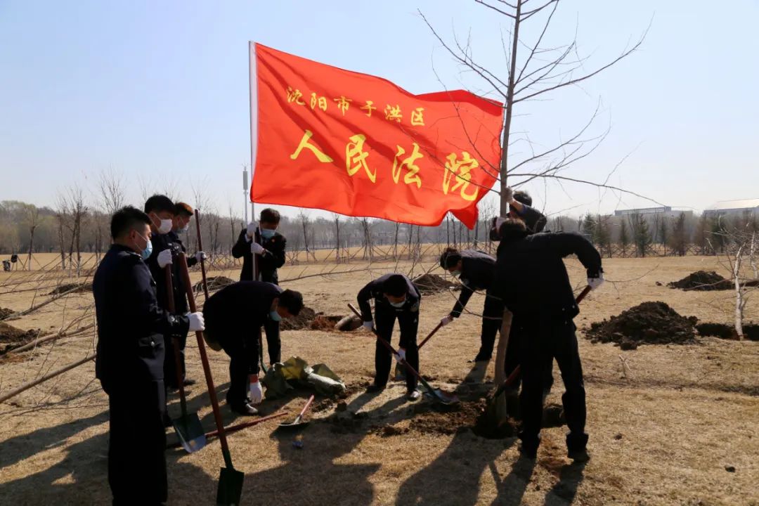 助推生态文明建设于洪法院参加义务植树活动