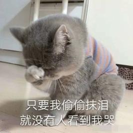 我活过来了!