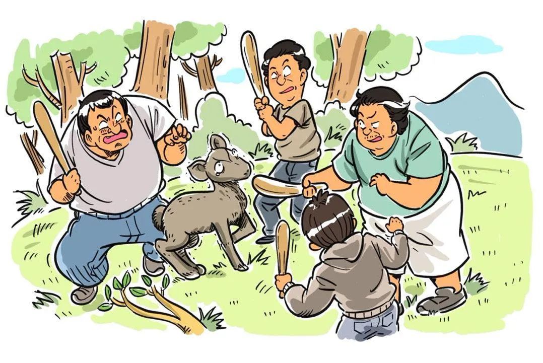 她分享 | 保护野生动物就是保护人类未来