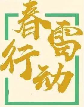 春雷行动丨白黑城管在投入