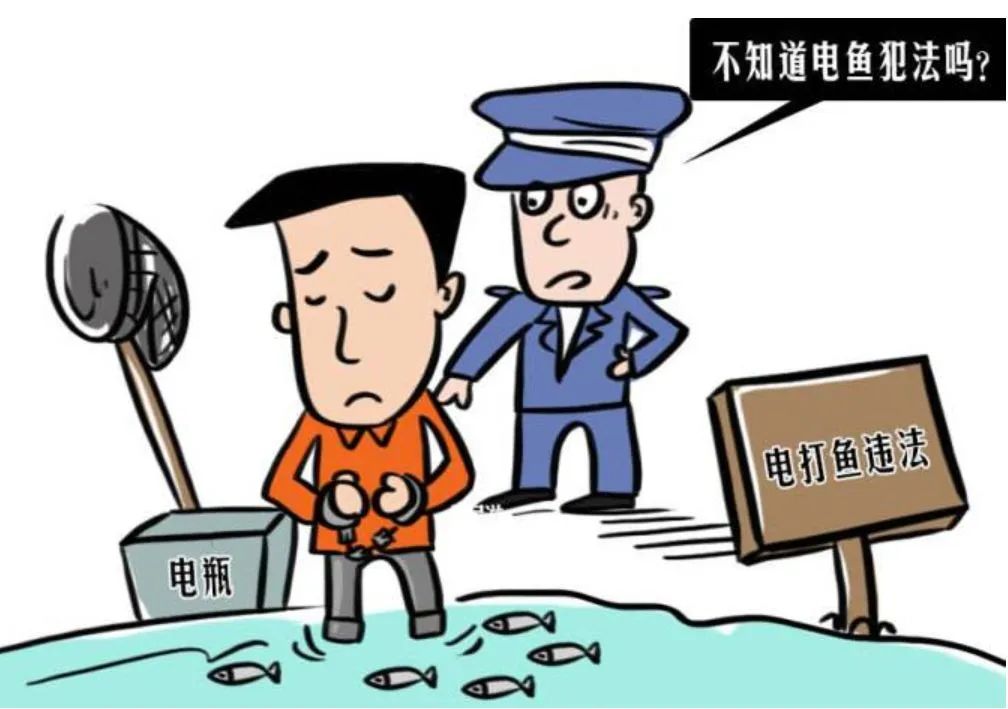 对非法捕捞说"no"