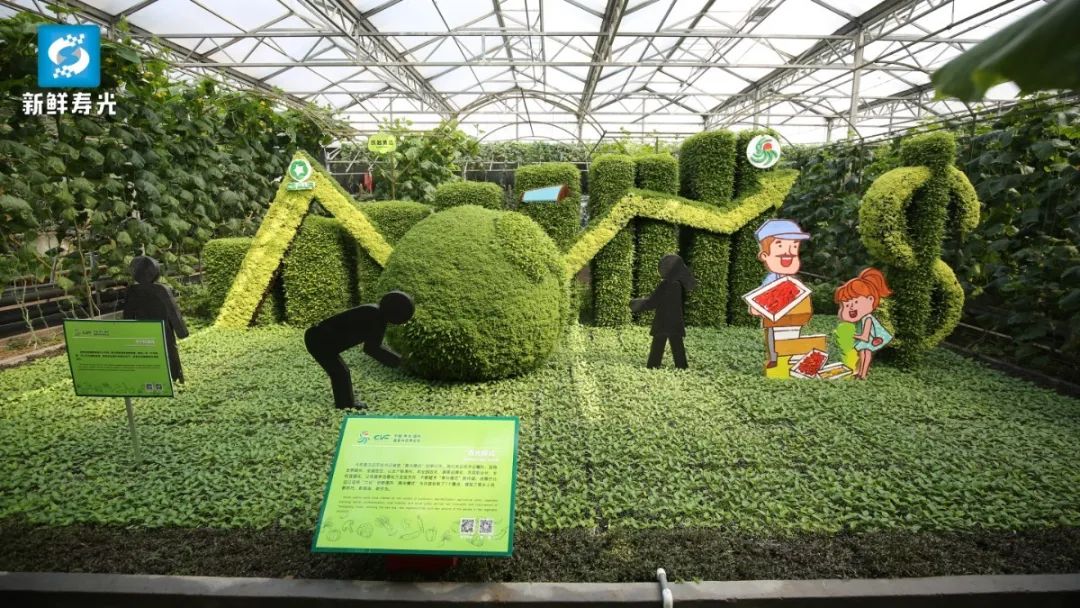 带网友们去逛"黑科技"满满的高科技农业展馆,品种丰富的蔬菜小镇,充满