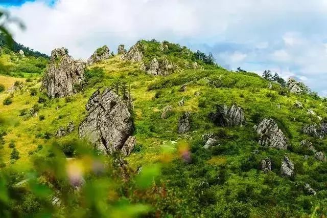 67有一种旅行叫神农架