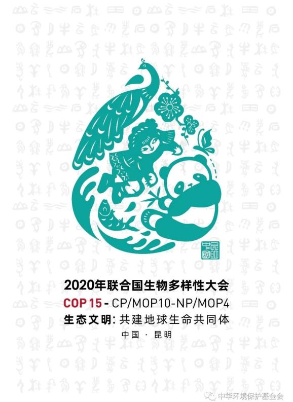 人人一平米共同守护生物多样性