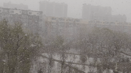 东北内蒙古等地出现暴雪!未来三天,大风仍不停