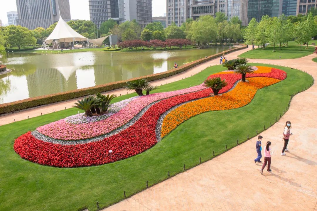主题景点,景观花道,公园花境……浦东的春天就在我们身边!