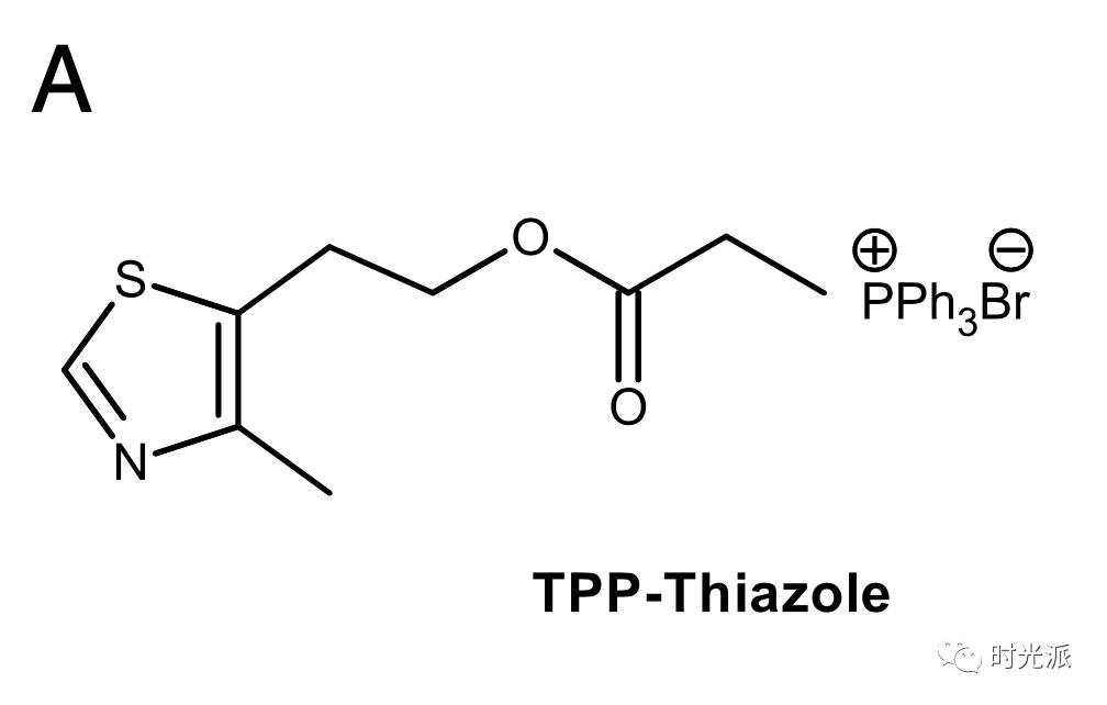 tpp-噻唑的分子结构