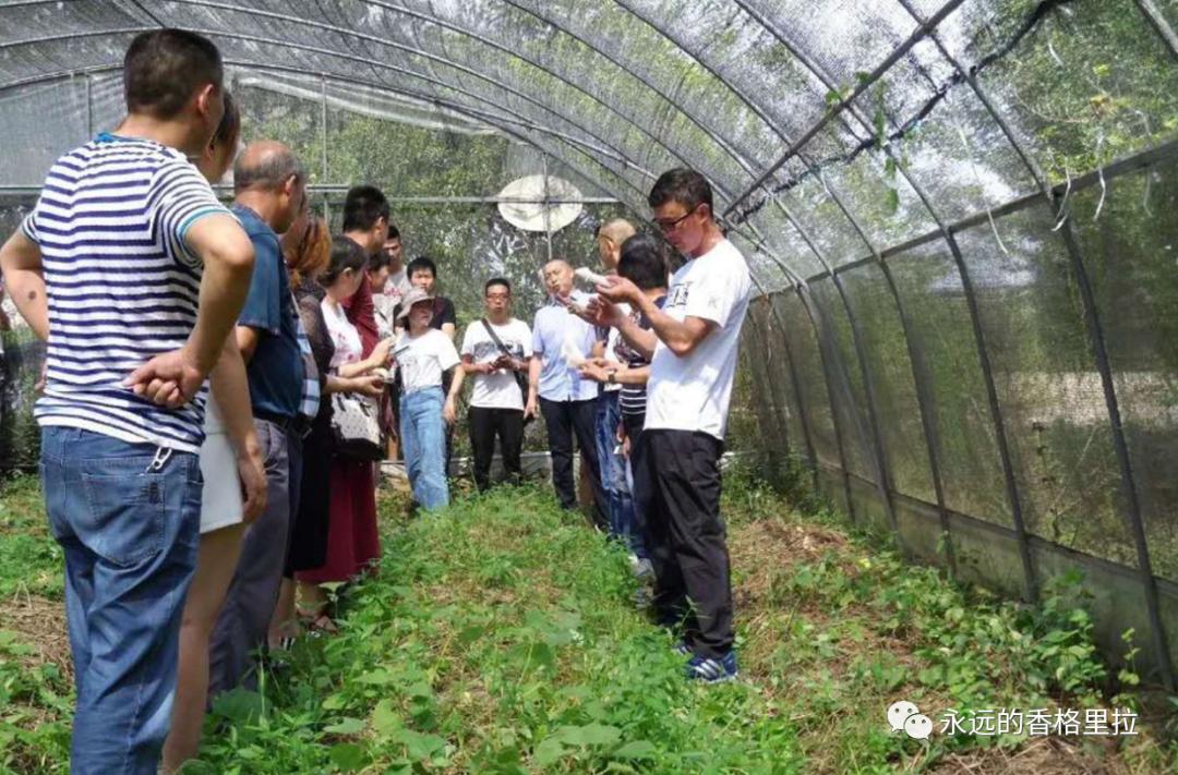 脱贫故事周建发脱贫摘帽不是终点而是新生活新奋斗的起点