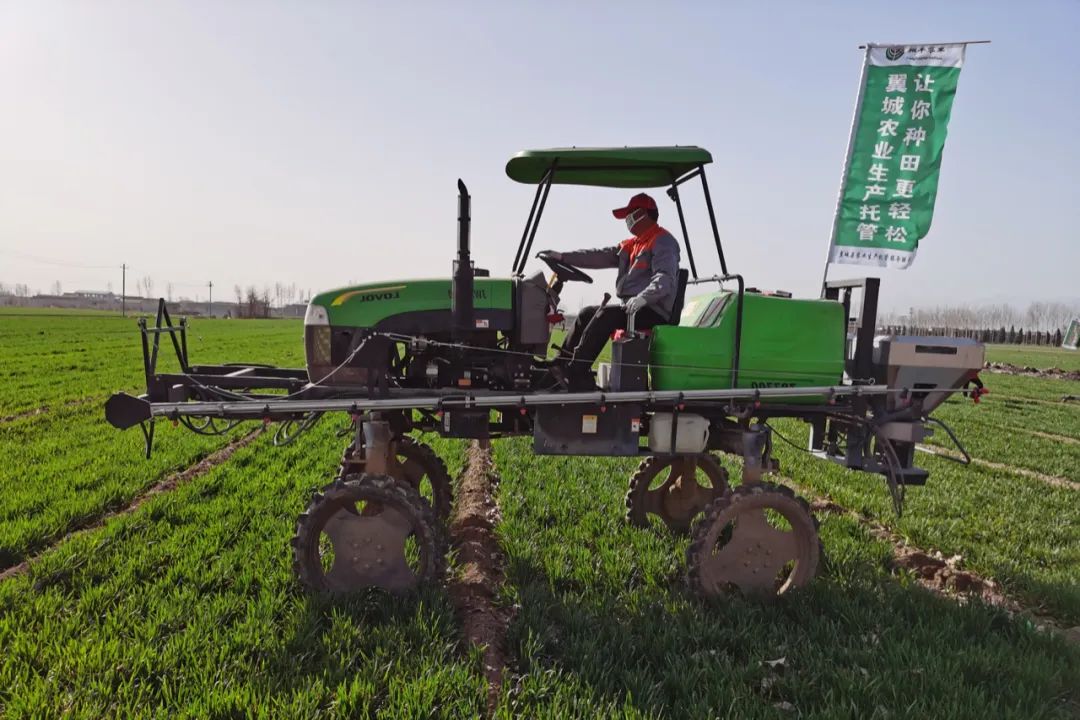 80后不想种地90后不懂种地00后不问种地，咋整？