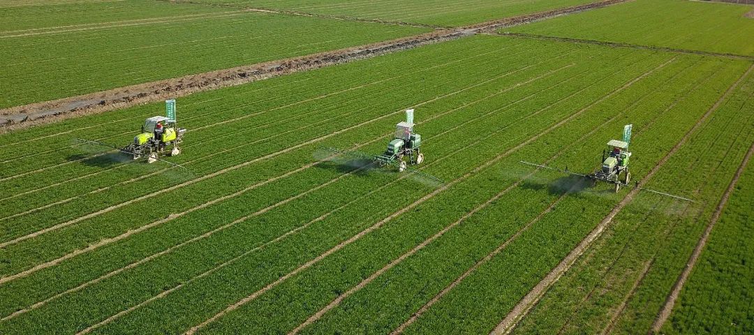 80后不想种地90后不懂种地00后不问种地，咋整？