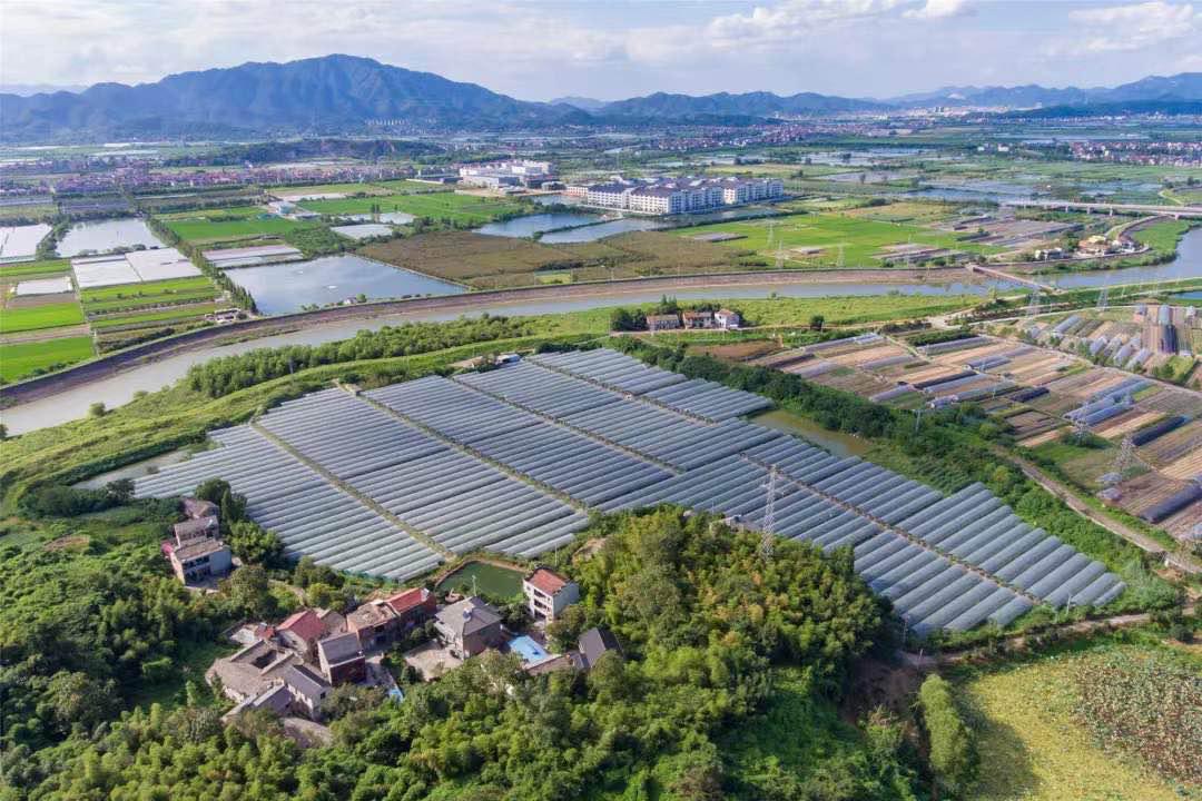 姚江镇现代产业园一景—葡萄草莓种植基地.
