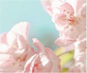 “五一”云出游！吉林原来如此精彩！（最新发布）