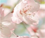 “五一”云出游！吉林原来如此精彩！（最新发布）