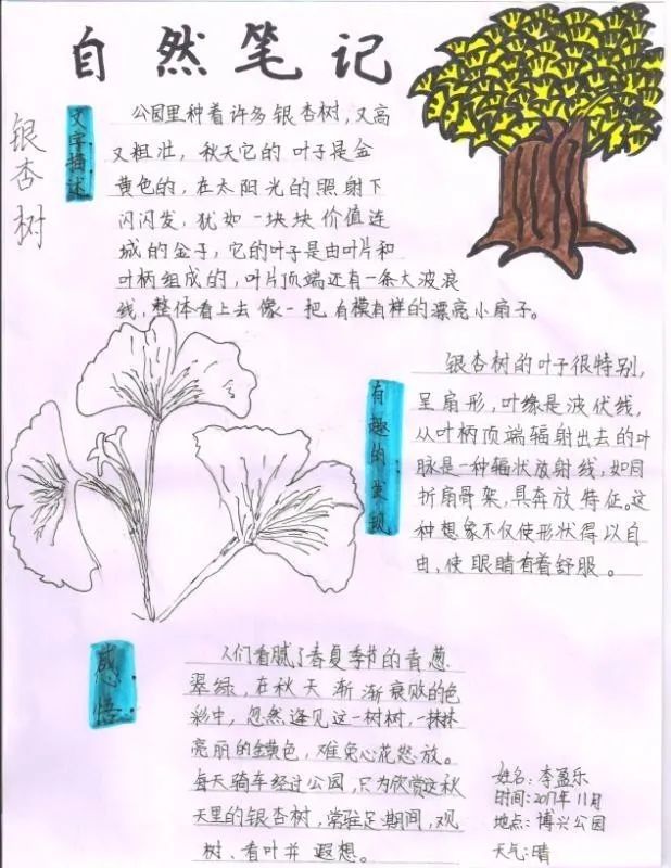 自然笔记|全国青少年自然笔记大赛优秀作品欣赏(第二十三期)