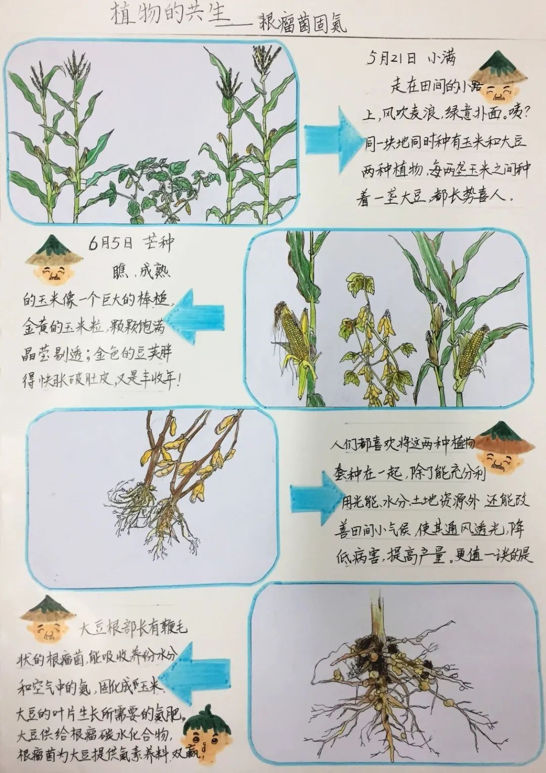 自然笔记|全国青少年自然笔记大赛优秀作品欣赏(第二十三期)