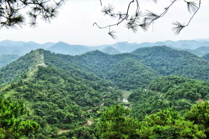 最新消息高明泰康山旅游度假区今日起恢复开放