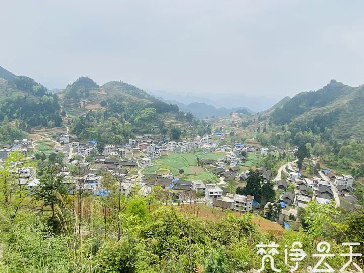 "近日,沿河自治县甘溪镇麝