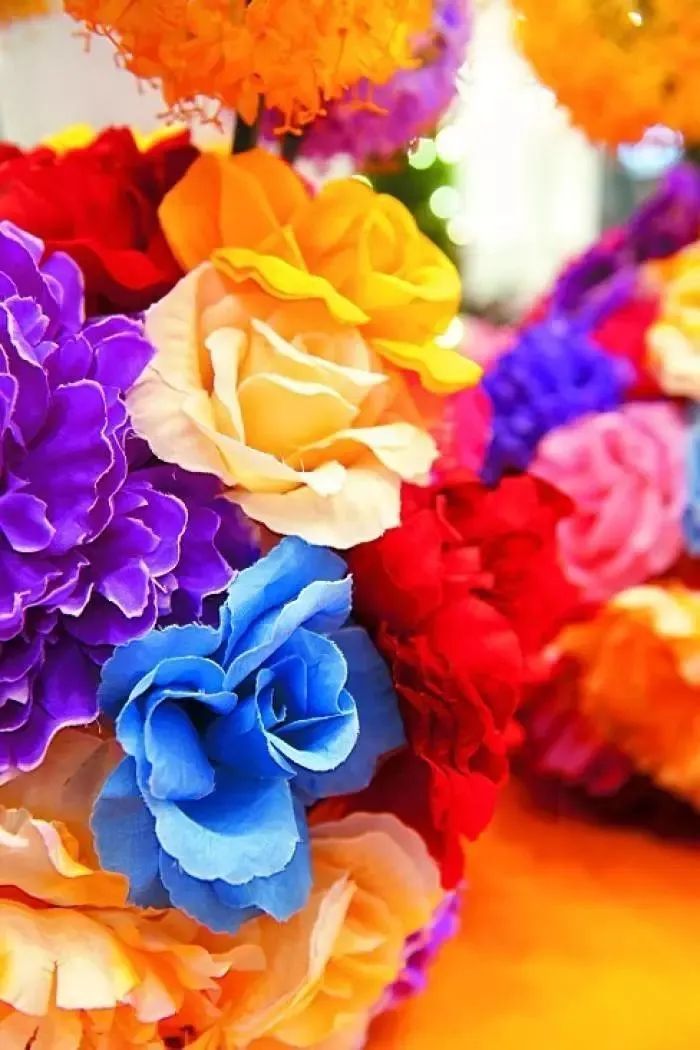 东京版《欲望都市》:蜷川实花华丽绚烂的followers(最新发布)