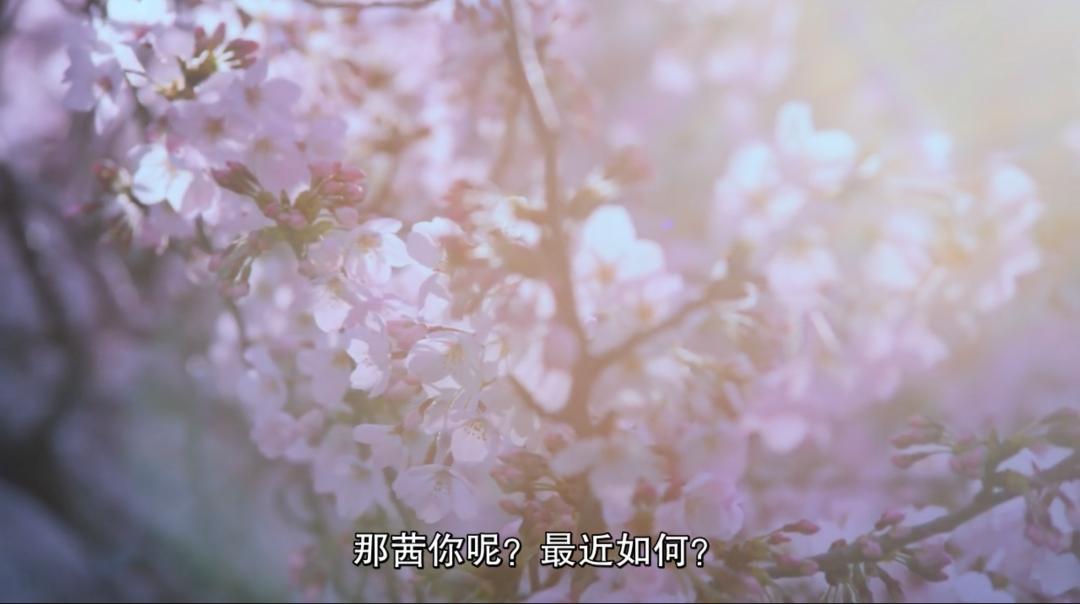 东京版《欲望都市》:蜷川实花华丽绚烂的followers(最新发布)