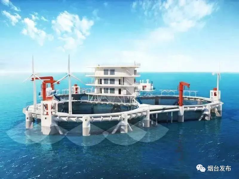 大型海洋牧场 paper